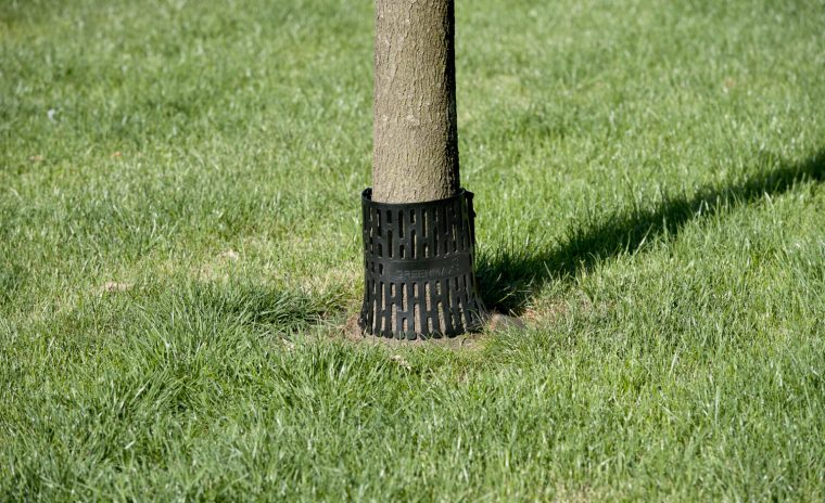 TreeProtect boomstambeschermer GreenMax 1536x1022