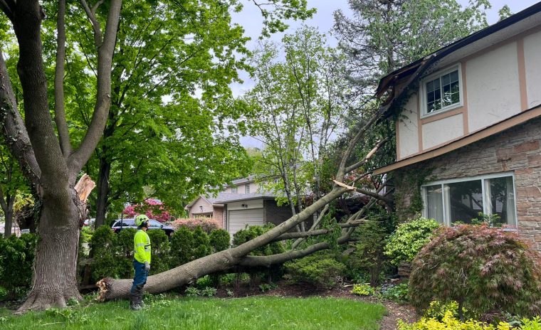 WhatsApp Image 2022 05 22 at 3.01.04 PM