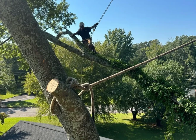 Dependable Tree Services