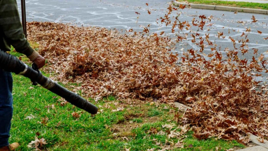 Fall Clean Up & Debris Removal 1