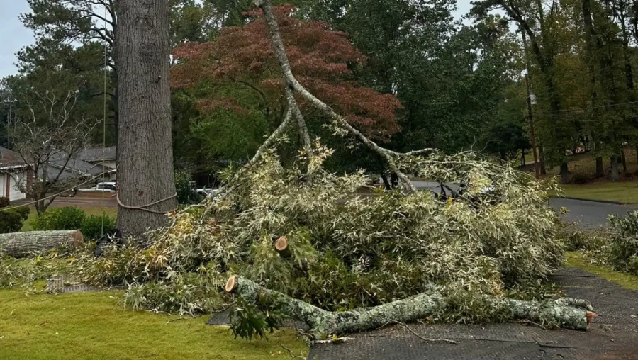 Storm Damage & Emergency Tree Work 1 Storm Damage & Emergency Tree Work 1