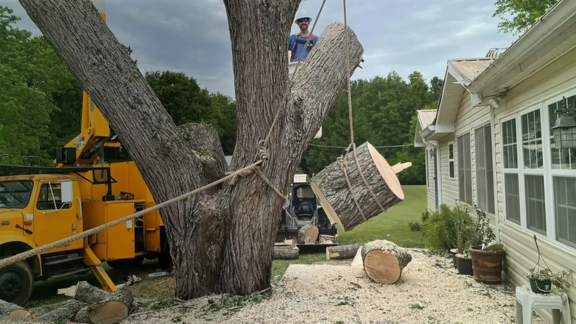 Trusted Local Tree Service Hero 1