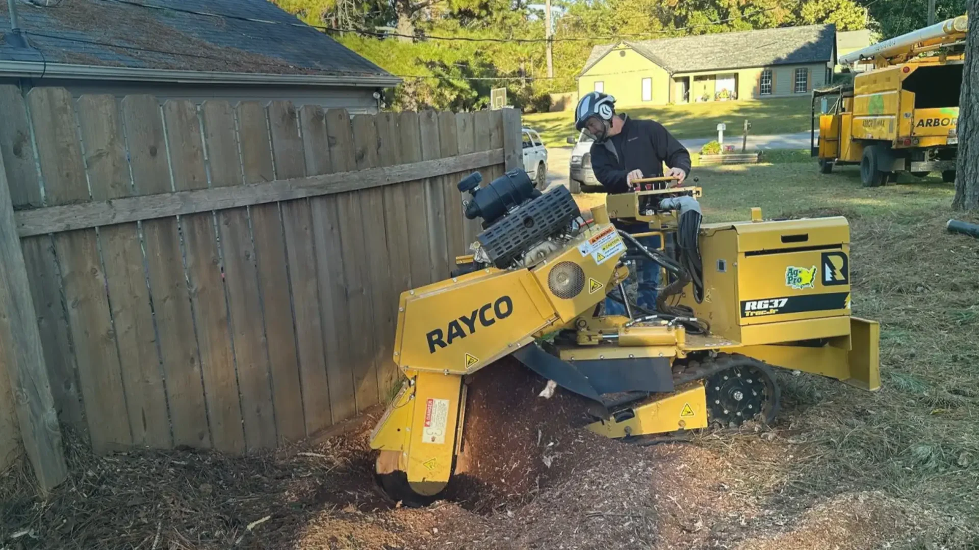 Trusted Local Tree Service Hero